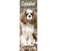 Cavalier King Charles Slim Calendar 2025 Dog Breed Slimline Calendar - 12 Month
