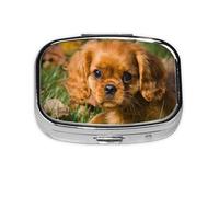 Cavalier King Charles Spaniel Brown - Pastillero con 2 compartimentos, organizador portátil