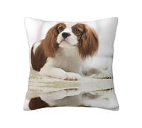 Cavalier King Charles Spaniel Brown Spaniel, funda de almohada con cremallera oculta, funda de cojín de poliéster, funda de almohada decorativa con impresión de doble cara
