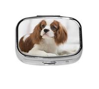 Cavalier King Charles Spaniel Brown Spaniel, pastillero Meta con 2 compartimentos, organizador portátil