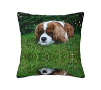 Cavalier King Charles Spaniel Brownish como se muestra, funda de almohada con cremallera oculta, funda de cojín de poliéster, funda de almohada decorativa con impresión de doble cara