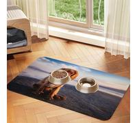 Cavalier King Charles Spaniel Coast Pets Dogs,Waterproof Pet Feeding Mat,PU Leather Placemats for Cat Dog Water Bowl,Food Mats,40x60cm