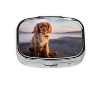 Cavalier King Charles Spaniel Costa Mascotas Perros, Pastillero cuadrado para bolsillo o monedero, pequeño contenedor de pastillas, organizador de pastillas de viaje