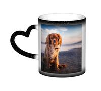 Cavalier King Charles Spaniel Costa Mascotas Perros, Taza de cerámica Taza que cambia de color sensible al calor Tazas de café en el cielo Taza de cerámica 330 ml