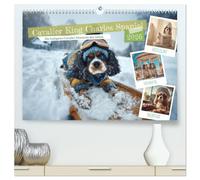 Cavalier King Charles Spaniel. Die lustigsten Cavalier Momente des Jahres. (hochwertiger Premium Wandkalender 2026 DIN A2 quer), Kunstdruck in ... auf charmante und humorvolle Weise einfangen.