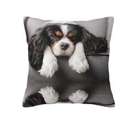 Cavalier King Charles Spaniel Dog, funda de almohada con cremallera oculta, funda de cojín de poliéster, funda de almohada decorativa con impresión de doble cara
