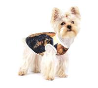 Cavalier King Charles Spaniel Dorado Negro,Camiseta de algodón sin Mangas para Mascotas, Chaleco Transpirable, Suave y elástico para Cachorros,M
