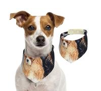Cavalier King Charles Spaniel Dorado Negro,Pañuelos de algodón para Perros, Bufandas Ajustables para Mascotas,M