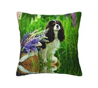 Cavalier King Charles Spaniel - Funda de almohada con cremallera oculta, funda de almohada de poliéster, impresión de doble cara, funda de almohada decorativa