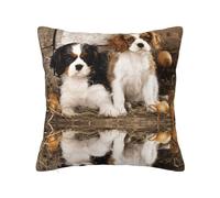 Cavalier King Charles Spaniel - Funda de almohada con cremallera oculta, funda de cojín de poliéster, funda de almohada decorativa con impresión de doble cara