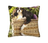 Cavalier King Charles Spaniel, funda de almohada con cremallera oculta, funda de cojín de poliéster, funda de almohada decorativa con impresión de doble cara