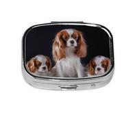 Cavalier King Charles Spaniel Madre con cachorros, Pastillero cuadrado para bolsillo o monedero, pequeño contenedor de pastillas, organizador de pastillas de viaje