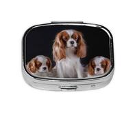 Cavalier King Charles Spaniel Madre con cachorros, Pastillero cuadrado para bolsillo o monedero, pequeño contenedor de pastillas, organizador de pastillas de viaje