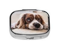 Cavalier King Charles Spaniel - Pastillero con 2 compartimentos, organizador portátil