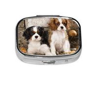 Cavalier King Charles Spaniel - Pastillero con 2 compartimentos, organizador portátil