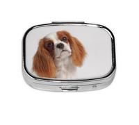 Cavalier King Charles Spaniel, Pastillero cuadrado para bolsillo o monedero, pequeño contenedor de pastillas, organizador de pastillas de viaje