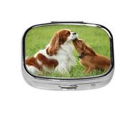 Cavalier King Charles Spaniel, Pastillero cuadrado para bolsillo o monedero, pequeño contenedor de pastillas, organizador de pastillas de viaje