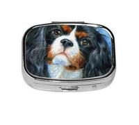 Cavalier King Charles Spaniel, pastillero Meta con 2 compartimentos, organizador portátil