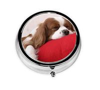 Cavalier King Charles Spaniel, pastillero, pastillero cuadrado para bolsillo o monedero, pastillero pequeño, organizador de pastillas de viaje