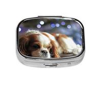 Cavalier King Charles Spaniel - Pastillero pequeño con 2 compartimentos, organizador portátil