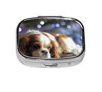 Cavalier King Charles Spaniel Pequeño Spaniel, Pastillero cuadrado para bolsillo o monedero, pequeño contenedor de pastillas, organizador de pastillas de viaje