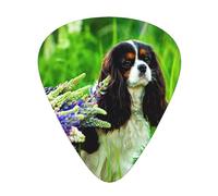 Cavalier King Charles Spaniel Perro Lupin Flores,12 púas de guitarra, 3 grosores diferentes para guitarra acústica, bajo y ukelele