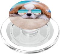 Cavalier King Charles Spaniel Perro PopSockets PopGrip para MagSafe