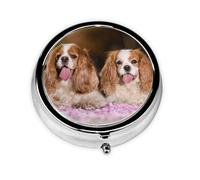 Cavalier King Charles Spaniel Perros Blancos Marrón, Pastillero, Pastillero redondo Pequeño contenedor de pastillas Organizador de pastillas de viaje