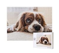 Cavalier King Charles Spaniel Perros Lindos Mascotas,Rompecabezas de Madera de 500 Piezas, Juego Familiar, Rompecabezas para Adultos, Adolescentes, decoración del hogar