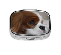 Cavalier King Charles Spaniel Pets - Pastillero con 2 compartimentos, organizador portátil