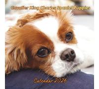 Cavalier King Charles Spaniel Puppies Calendar 2026: Organizer For Home & Office From January to December For Men, Women