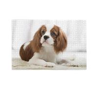 Cavalier King Charles Spaniel Spaniel marrón, Rompecabezas de 1000 Piezas, Rompecabezas de Madera para Toda la Familia, decoración de Pared para Adultos y Adolescentes.