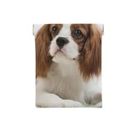 Cavalier King Charles Spaniel Spaniel Marrón, Squeeze Top Wallet Bolsa de Almacenamiento para Mujer Monedero pequeño Bolsa de Cambio