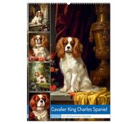 Cavalier King Charles Spaniel (Wandkalender 2026 DIN A2 hoch), CALVENDO Monatskalender: Der Cavalier King Charles Spaniel ist eine kleine Hunderasse, die ursprünglich als Begleithund gezüchtet wurde.