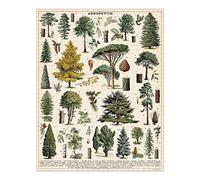 Cavallini- Arboretum 1,000 Piece Puzzle, Color Multicolor y Olas del mar (Ocean Tides), 1000 (PZL/Tree)