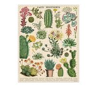 Cavallini- Cacti & Succulents 1,000 Piece Puzzle Rompecabezas, Multicolor, 1000 (PZL/SUC)