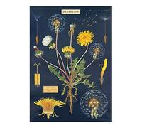Cavallini & Co.Hoja de papel decorativa con diseño de diente de león
