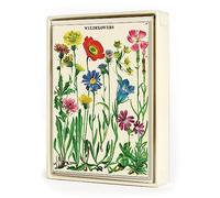 Cavallini & Co. Wildflowers - Tarjetas de notas en caja