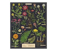 Cavallini Papers & Co. Herbarium - Rompecabezas de 1000 Piezas, Multicolor