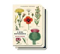 Cavallini Papers & Co., Inc. National Parks Mini Cuadernos, Multi