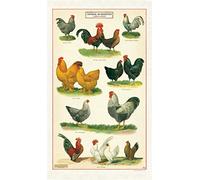 Cavallini Papers & Co. Paño de Cocina de Pollos