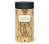 Cavallini - Rompecabezas de esqueleto, 1000 piezas