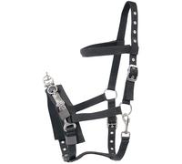 Cavallinos para caballos Harry's Horse Poney