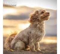 Cavapoo - Calendario tradicional 2025
