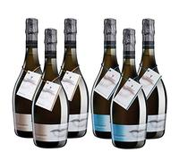 Cavas Albert de Vilarnau Fermentado en Barrica y Chardonnay Pinot Noir - D.O. Cava - Mezclanza Gonzalez Byass (Pack de 6 botellas)