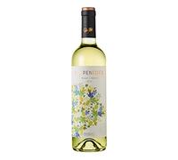 CAVAS HILL OR PENEDES, blanco pack de 6