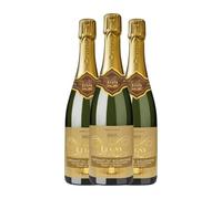 Cave de Lugny Chardonnay Brut Crémant de Bourgogne 75 spumoso blanco (Caja de 3 Botellas de 75 cl)
