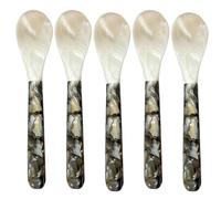 Caviar Spoons, Mother Of Pearl Spoon, Decorative Caviar Spoons, Caviar Server Spoons, Caviar Egg Spoons, Ice Cream Serving Spoons, Luxury Caviar Spoons, Round Handle Spoons, Set of 5 Caviar Spoons