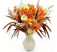 CAwished Flores Secas Naturales Otoño y Preservadas Conjunto de para Otoño Decoracion Ramos de Flores Secas DIY Manualidades Arreglos Florales de Boda y Decoracion del Hogar