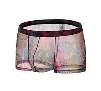 Caxndycing Calzoncillos bóxer para hombre de encaje transparente, de malla, pantalones cortos de malla, ropa interior erótica, sexy, transparente, deporte, ropa interior, rojo, L